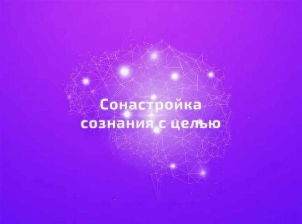Практический курс Сонастройка с целью (Егор Астахов)